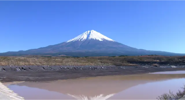 会社概要の画像
